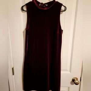 Ann Taylor Velvet Velour Feel Shift Dress Mid Length Plum Wine Color NWT ♥️